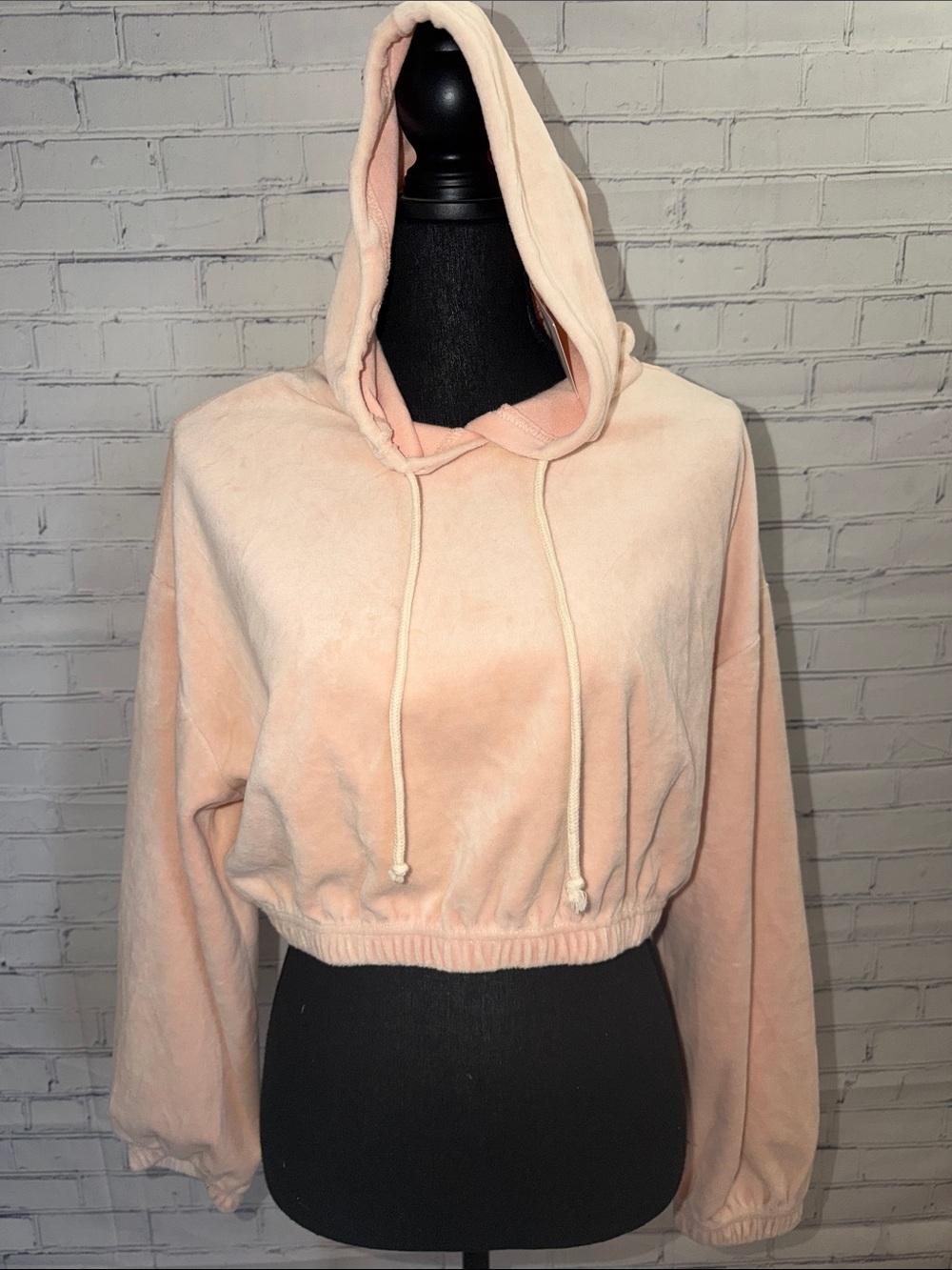 Double Zero Cropped Hooded Sweatshirt - Blush